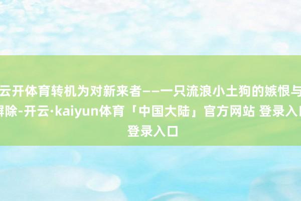 云开体育转机为对新来者——一只流浪小土狗的嫉恨与摒除-开云·kaiyun体育「中国大陆」官方网站 登录入口