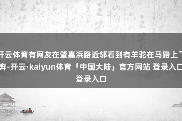 开云体育有网友在肇嘉浜路近邻看到有羊驼在马路上飞奔-开云·kaiyun体育「中国大陆」官方网站 登录入口